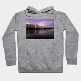 Colors of autumn,  fall season aesthetic Hoodie